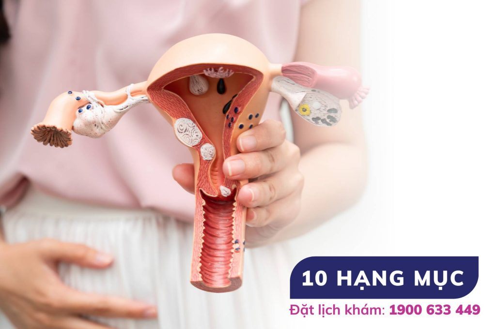 Tầm soát bệnh lý phụ khoa & ung thư ở phụ nữ